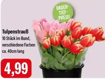 Feneberg Tulpenstrauß Angebot