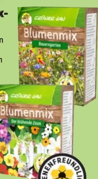 Thomas Philipps Grüner Jan Blumenmix Saat Angebot