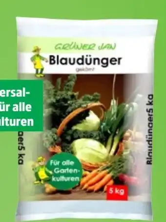 Thomas Philipps Grüner Jan Blaudünger Angebot