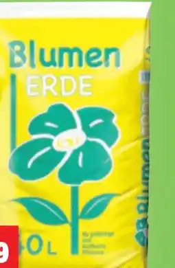 Thomas Philipps Blumenerde Angebot