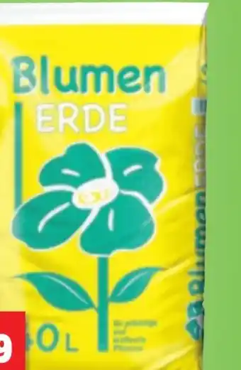 Thomas Philipps Blumenerde Angebot