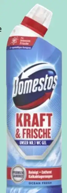 Thomas Philipps Domestos WC Gel Angebot