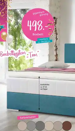 Zurbrüggen FEDER- KERN Boxbett Angebot