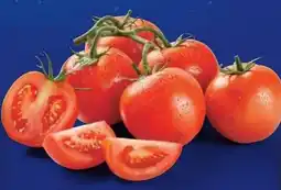 Lidl Strauchtomaten Angebot