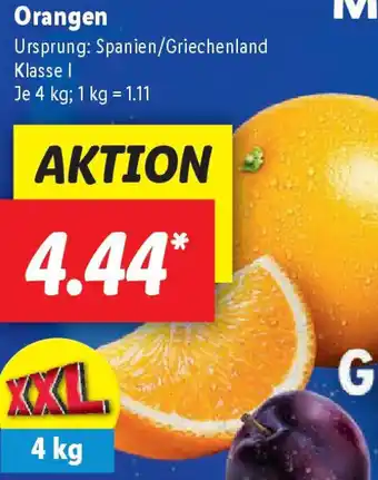 Lidl Orangen Angebot