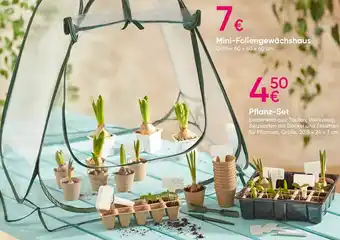 PEPCO Mini-Foliengewächshaus Angebot