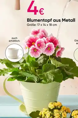 PEPCO Blumentopf aus Metall Angebot