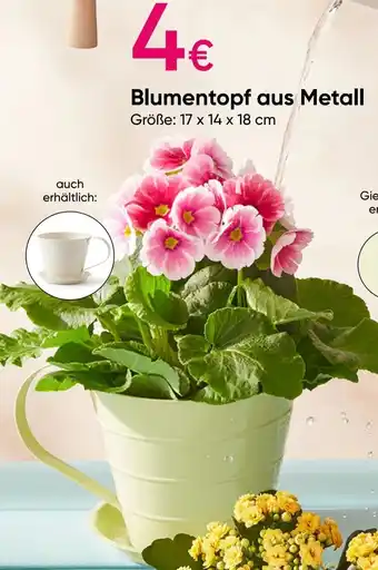 PEPCO Blumentopf aus Metall Angebot