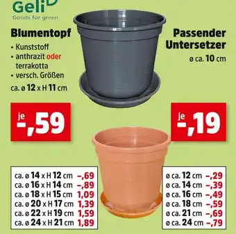 Thomas Philipps Geli blumentopf oder passender untersetzer Angebot