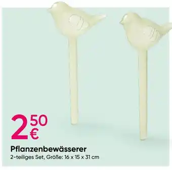 PEPCO Pflanzenbewässerer Angebot