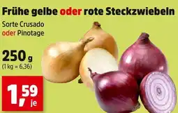 Thomas Philipps Frühe gelbe oder rote steckzwiebeln Angebot