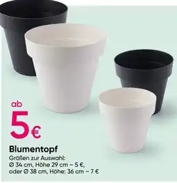 PEPCO Blumentopf Angebot