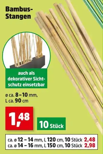 Thomas Philipps Bambus-stangen Angebot