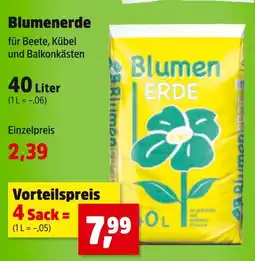 Thomas Philipps Blumenerde Angebot