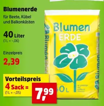 Thomas Philipps Blumenerde Angebot