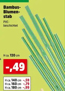 Thomas Philipps Bambus-blumenstab Angebot