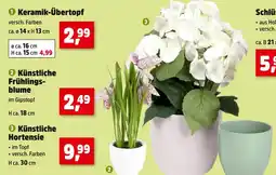 Thomas Philipps Keramik-übertopf oder künstlich blume Angebot