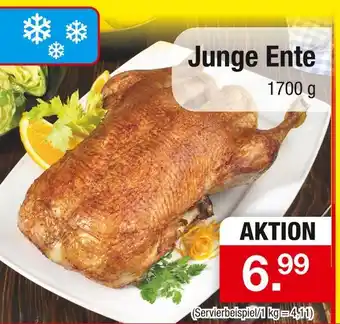 Zimmermann Junge ente Angebot