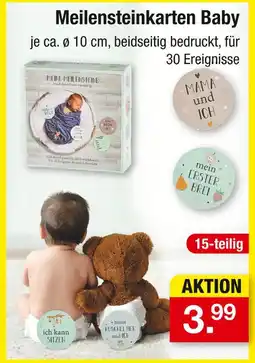 Zimmermann Meilensteinkarten baby Angebot