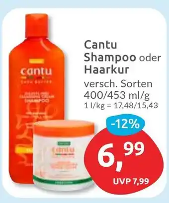 Budni Cantu Shampoo oder Haarkur Angebot