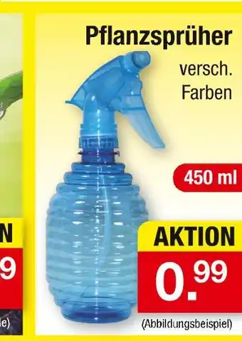 Zimmermann Pflanzensprüher Angebot