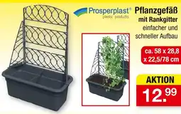 Zimmermann Prosperplast pflanzgefäß mit rankgitter Angebot