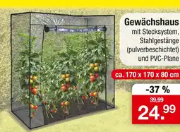 Zimmermann Gewächshaus Angebot