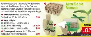 Zimmermann Anzuchtplatten oder anzuchttöpfe oder zimmergewächshaus Angebot