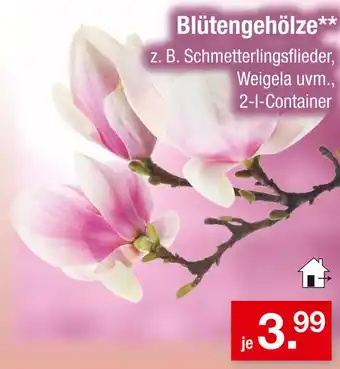 Zimmermann Blütengehölze Angebot