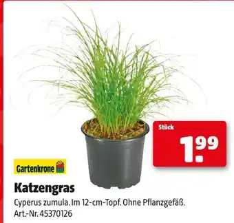 Hagebau Gartenkrone katzengras Angebot