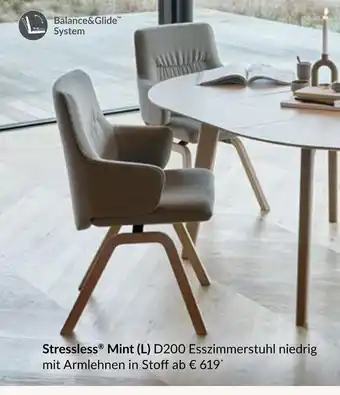 Zurbrüggen Stressless mint (l) d200 esszimmerstuhl Angebot