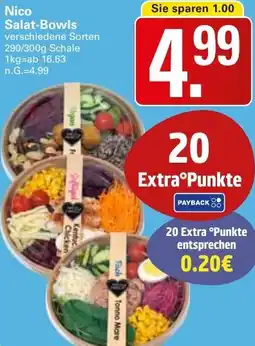 WEZ Nico Salat-Bowls Angebot