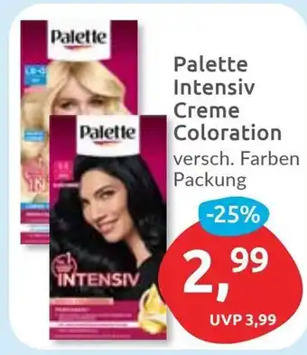 Budni Palette Intensiv Creme Coloration Angebot