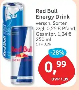 Budni Red Bull Energy Drink Angebot