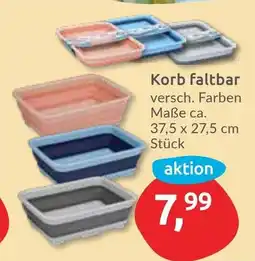 Budni Korb faltbar Angebot