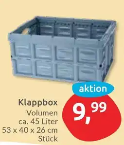 Budni Klappbox Angebot