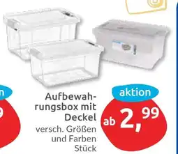 Budni Aufbewahrungsbox mit Deckel Angebot