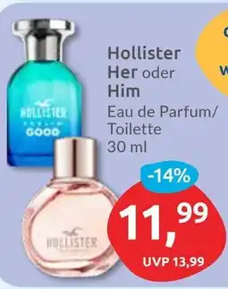 Budni Hollister Her oder Him Angebot