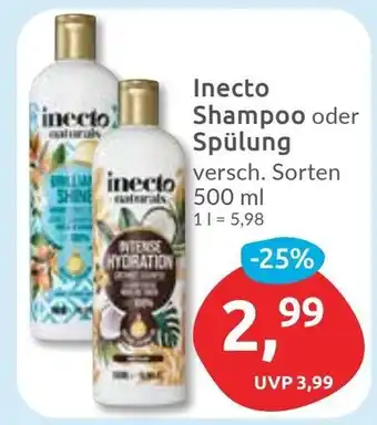 Budni Inecto Shampoo oder Spülung Angebot