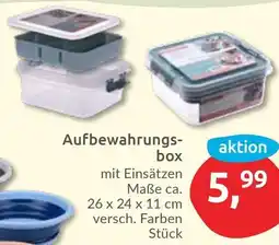 Budni Aufbewahrungsbox Angebot