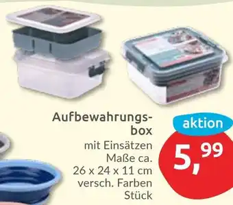 Budni Aufbewahrungsbox Angebot