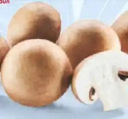 Netto Marken-Discount MarktTag Champignons Angebot