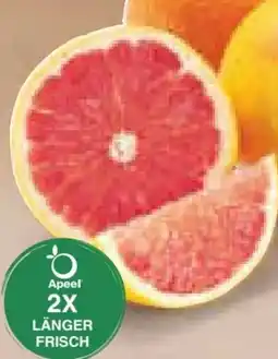 Netto Marken-Discount Grapefruit Angebot