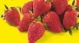 Netto Marken-Discount Erdbeeren Angebot