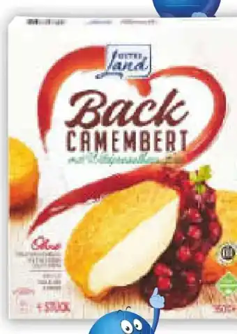 Netto Marken-Discount Gutes Land Backcamembert Angebot