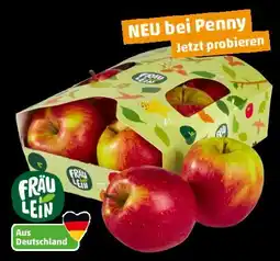 PENNY Fräulein Äpfel Angebot