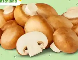 PENNY Marktliebe Champignons Angebot