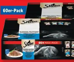 Lidl Sheba Maxi-Pack Angebot