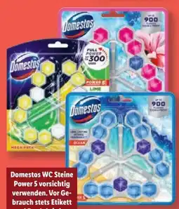 Lidl Domestos WC Steine Power 5 Angebot