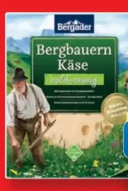 Lidl Bergader Bergbauern Käse Angebot